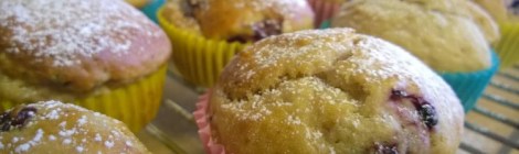 Yogurt berry cupcakes