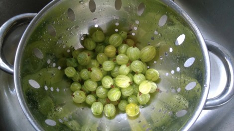Gooseberries washed
