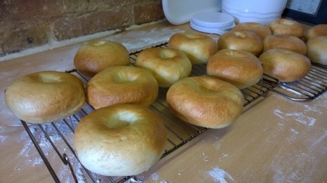 Finished Bagels