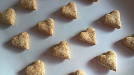 Heart shaped dog biscuits