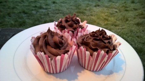 Choc cupcakes